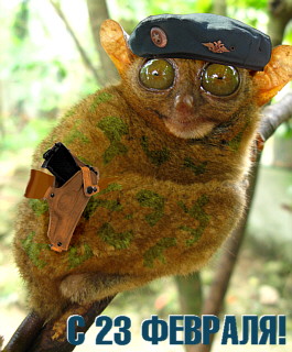 23_feb_tarsier_sm.jpg