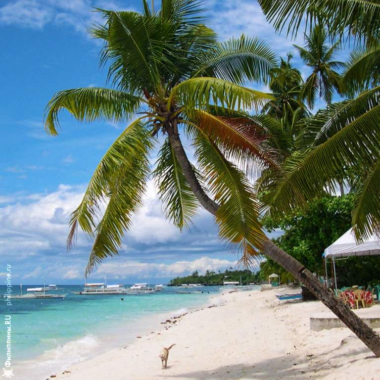 Пляж Алона-бич острова Панглао