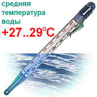 ������� ����������� ���� - +27..29C